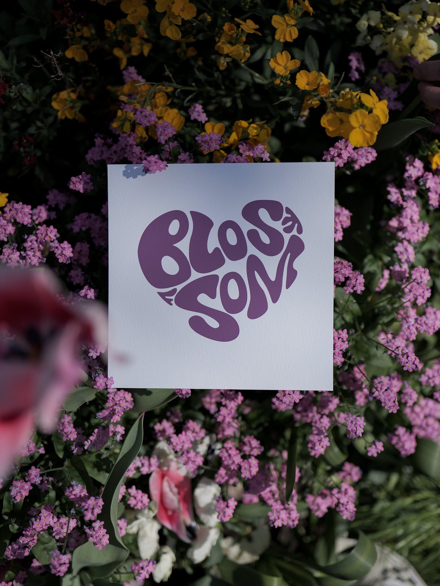 Kunstdruck mit Blossom Out Motiv 